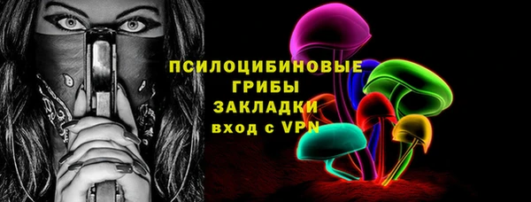 PSILOCYBIN Верхний Тагил