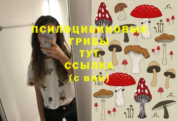 PSILOCYBIN Верхний Тагил