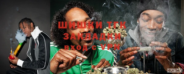 индика Бабаево
