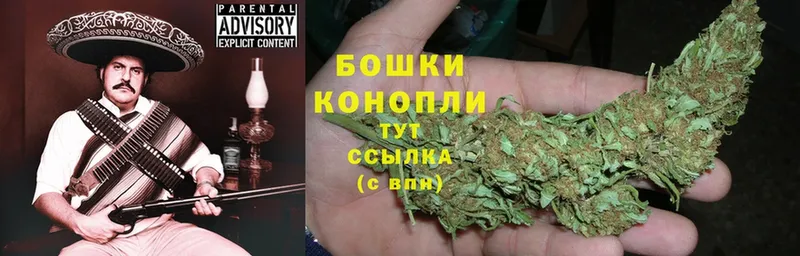 МАРИХУАНА OG Kush  Бакал 